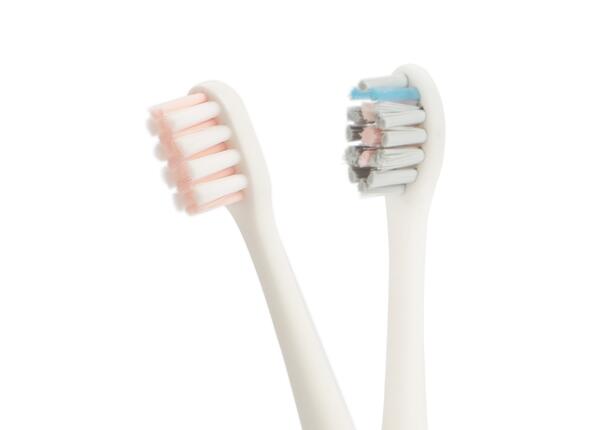 電動牙刷替換頭便宜嗎？刷博士牙刷替換頭批發商告訴你！